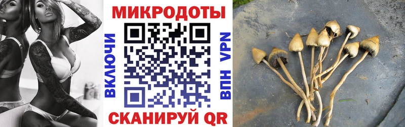 кракен сайт  Чудово  Псилоцибиновые грибы Cubensis  что такое  