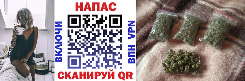 Каннабис SATIVA & INDICA  hydra tor  Чудово 